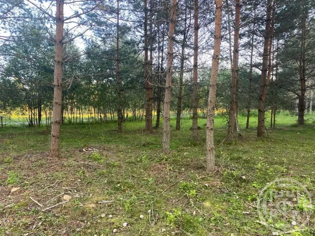 Участок в Ленинградская область, Лужский район, Серебрянское с/пос, д. ... - Фото 1