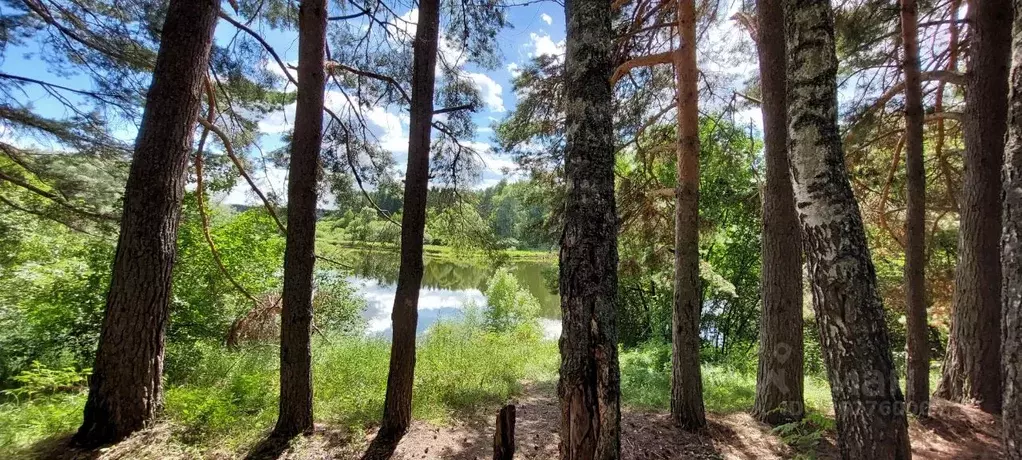 Участок в Московская область, Можайский муниципальный округ, д. ... - Фото 1
