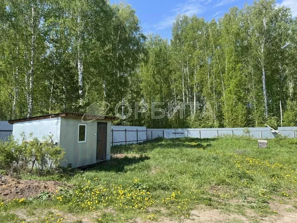 Участок в Тюменская область, Тюмень Сигнал садовое товарищество, ул. ... - Фото 1