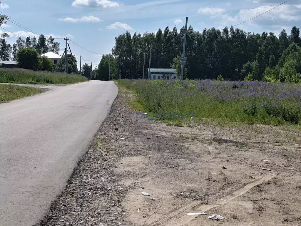 Участок в Нижегородская область, Богородский муниципальный округ, д. ... - Фото 1