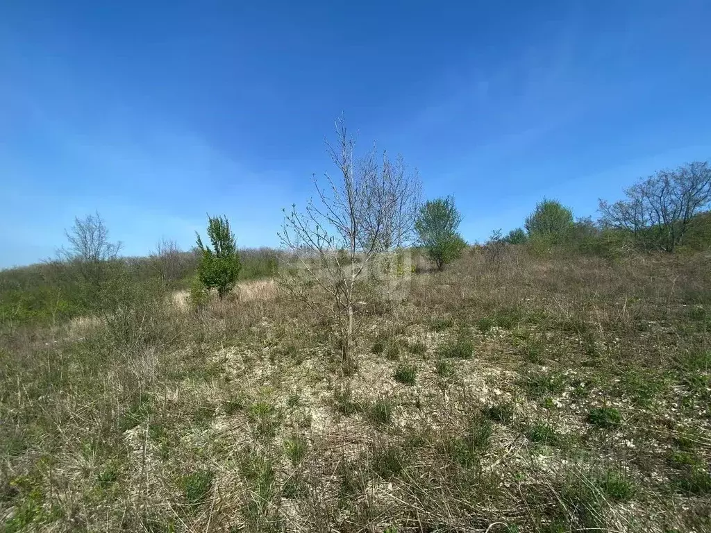 Участок в Краснодарский край, Новороссийск Микрорайон Сокол ТСН,  ... - Фото 1