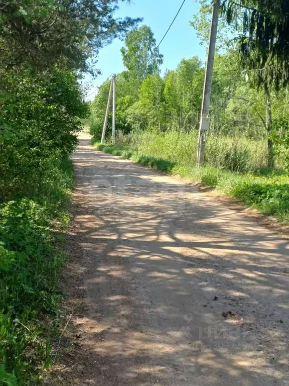 Участок в Псковская область, Псковский муниципальный округ, Милевка ... - Фото 1