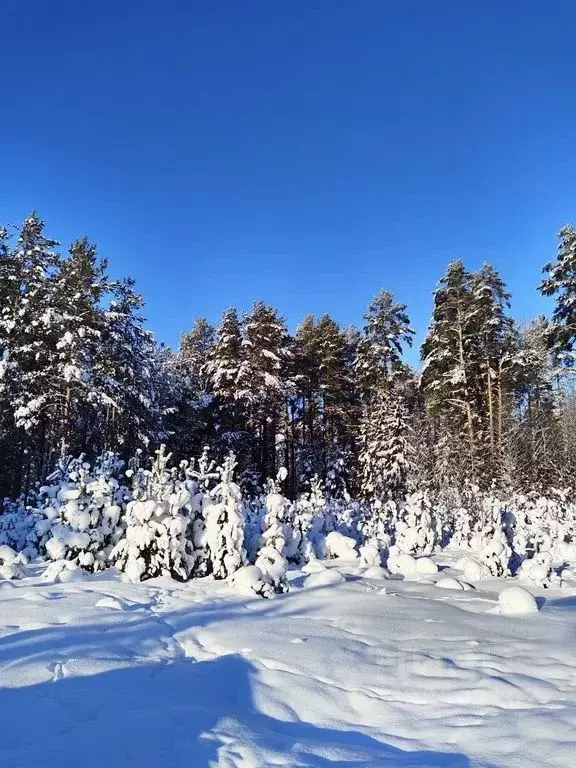 Дом в Ленинградская область, Лодейнопольский район, Янегское с/пос, ... - Фото 2