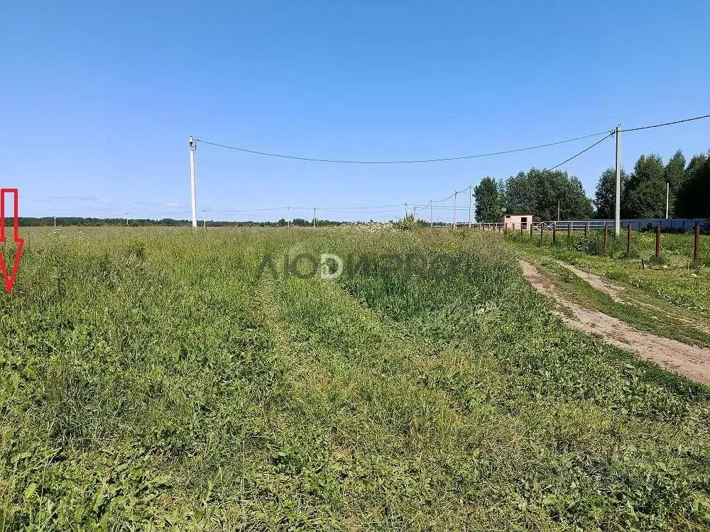 Участок в Ярославская область, Ярославский муниципальный округ, ... - Фото 2