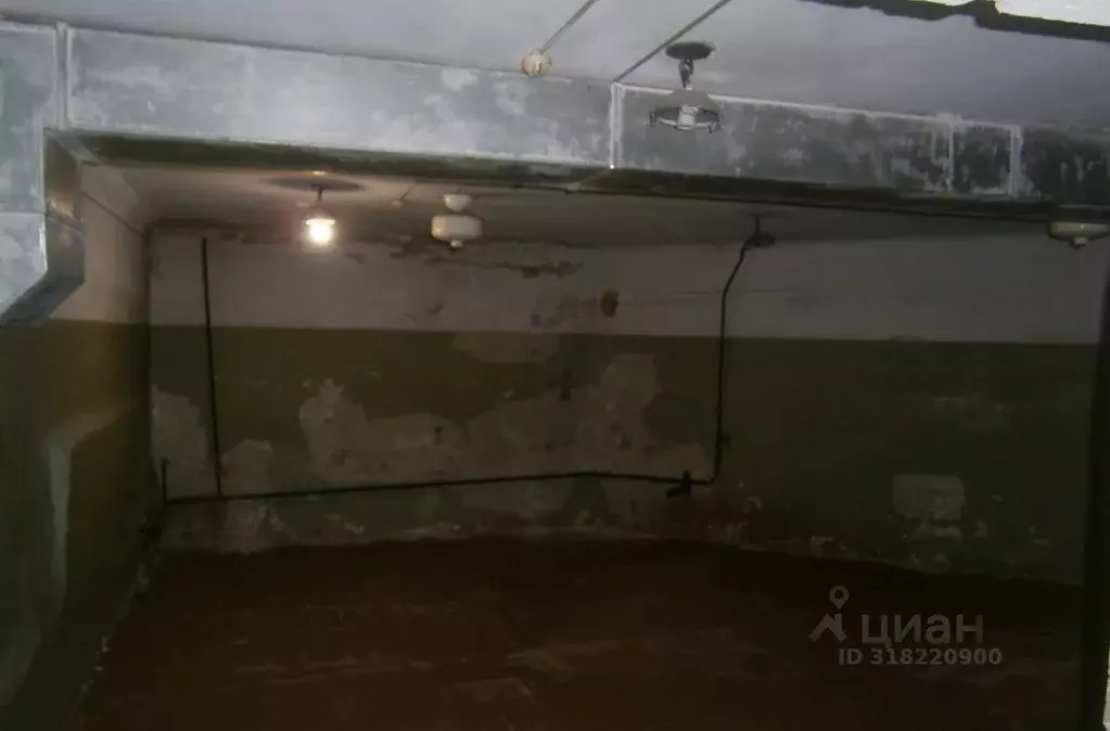 Помещение свободного назначения в Новосибирская область, Новосибирск ... - Фото 0