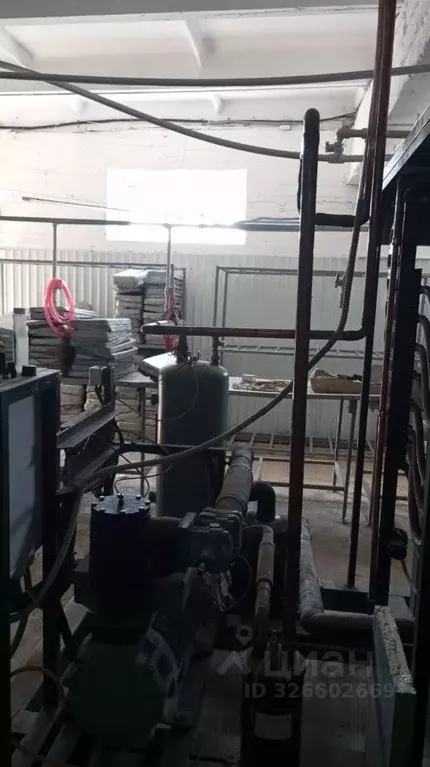 Помещение свободного назначения в Камчатский край, с. Тигиль ул. ... - Фото 2