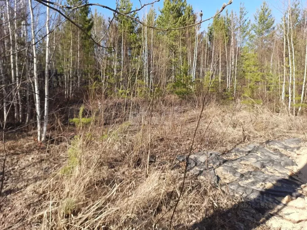 Участок в Свердловская область, Ревда городской округ, с. Кунгурка ул. ... - Фото 0