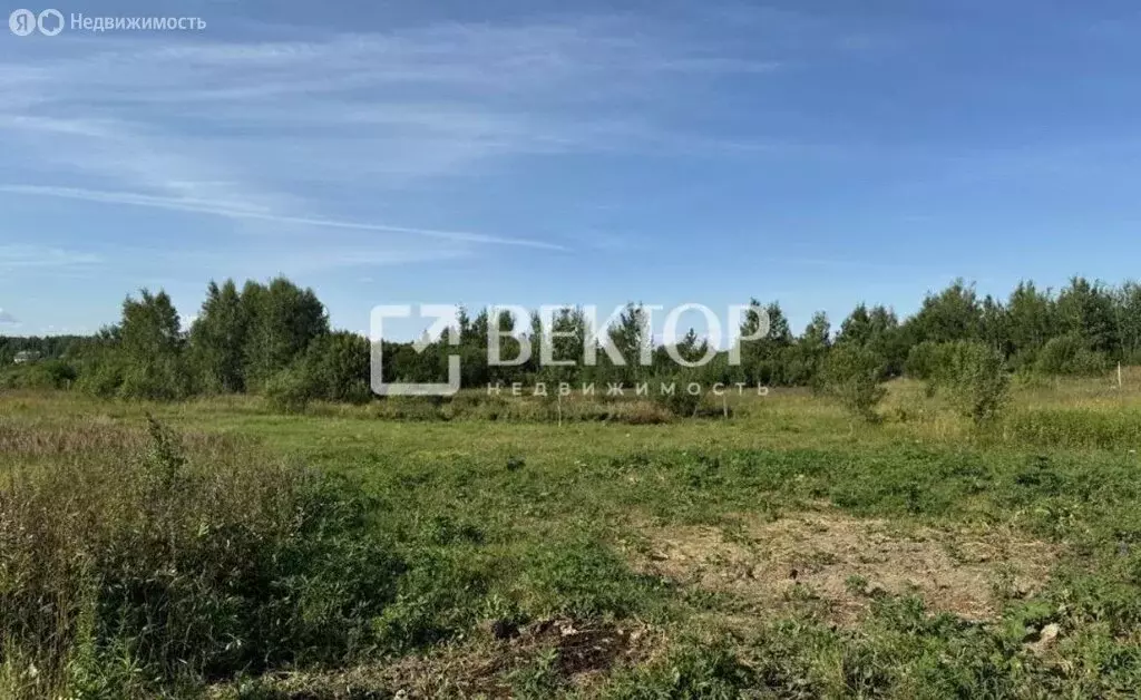 Участок в Иваново, Дальняя Балинская улица (11.76 м) - Фото 1