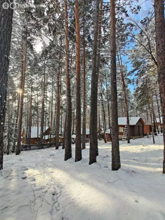 Участок в Красноярск, Лесная улица, 423З (9.6 м) - Фото 2