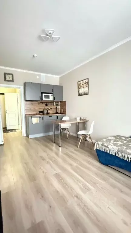 Студия Санкт-Петербург пос. Стрельна, просп. Буденного, 24к8 (24.0 м) - Фото 1