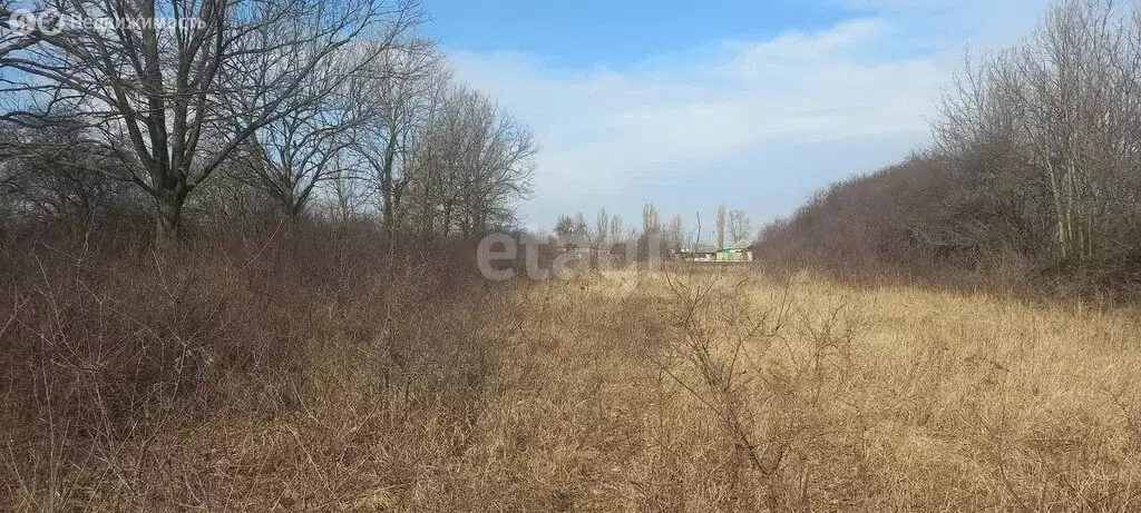 Участок в село Дальняя Игуменка, Центральная улица (20 м) - Фото 0