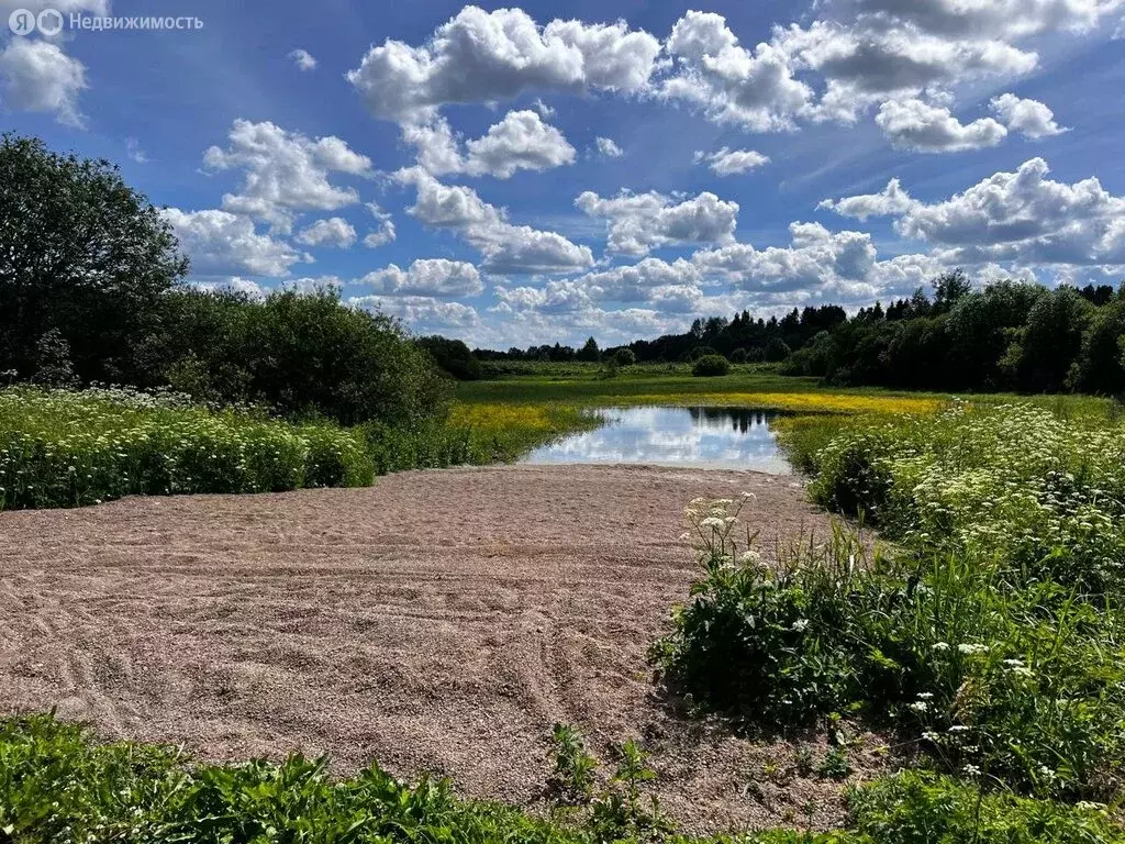 Участок в Рабитицкое сельское поселение, деревня Озертицы (23.6 м) - Фото 0