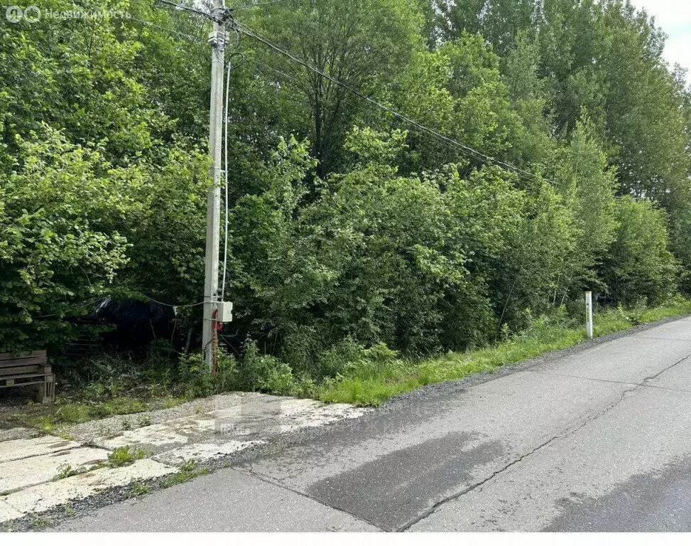 Участок в Одинцовский городской округ, СНТ Назарьево-ДПК (12 м) - Фото 1