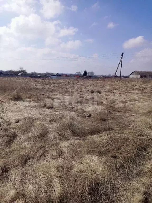 Участок в Белгородская область, Поселок Чернянка городское поселение, ... - Фото 1