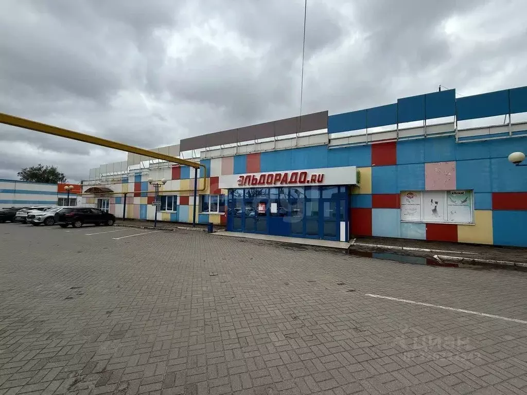 Помещение свободного назначения в Брянская область, Брянск ... - Фото 1