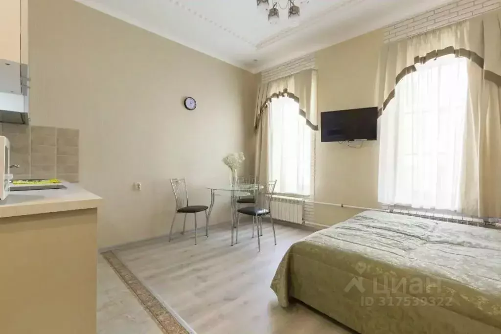 1-к кв. Санкт-Петербург Вознесенский просп., 3-5 (28.0 м) - Фото 1