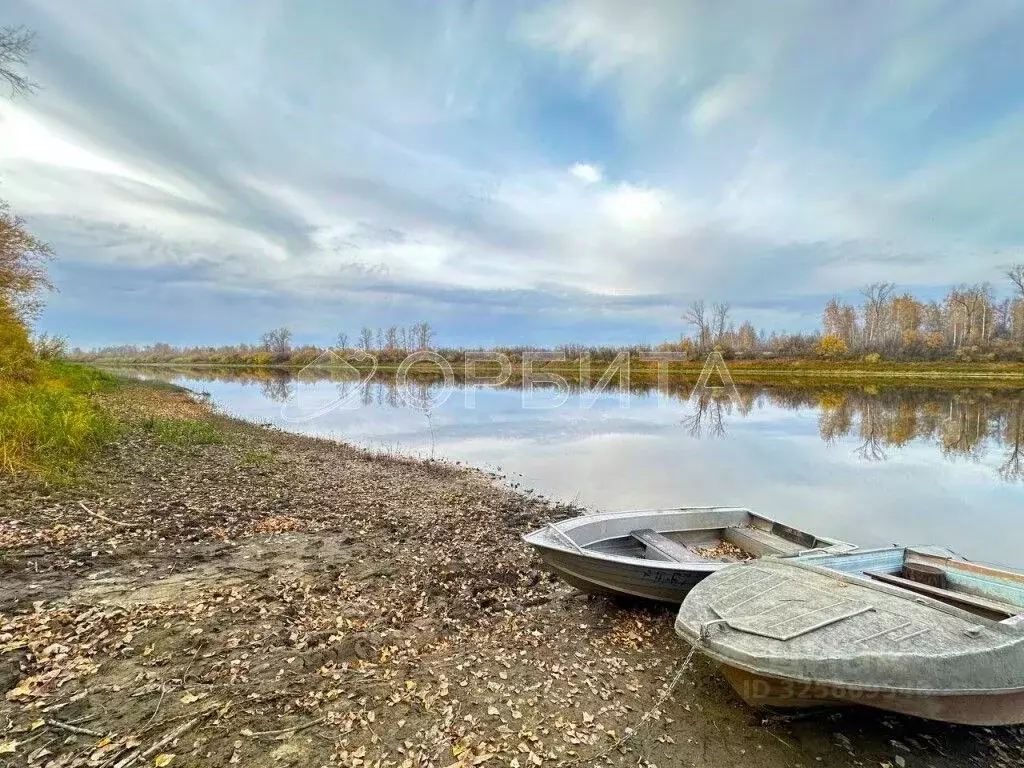 Участок в Тюменская область, Тюменский муниципальный округ, д. Речкина ... - Фото 1