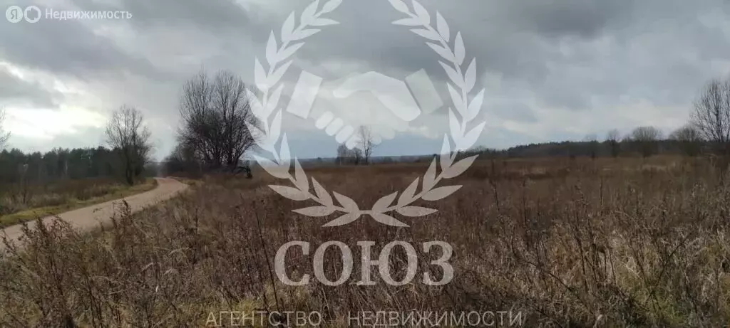 Участок в Калужская область, Мосальский муниципальный округ, посёлок ... - Фото 1