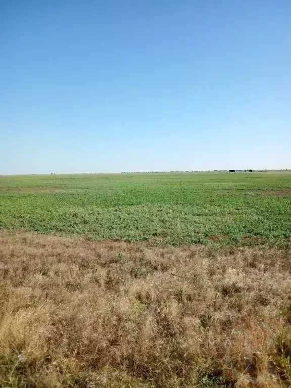 Участок в Крым, Сакский район, Ромашкинское с/пос, с. Колоски  (6.0 ... - Фото 2