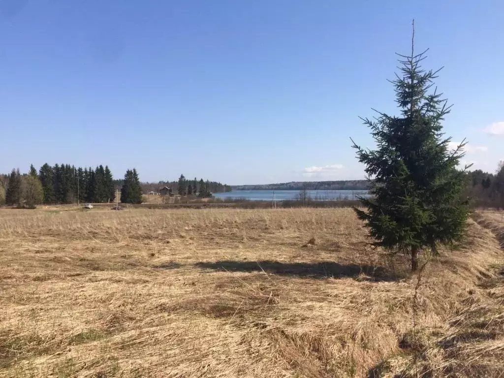 Участок в Карелия, Лахденпохский муниципальный округ, пос. Куянсуо ул. ... - Фото 2