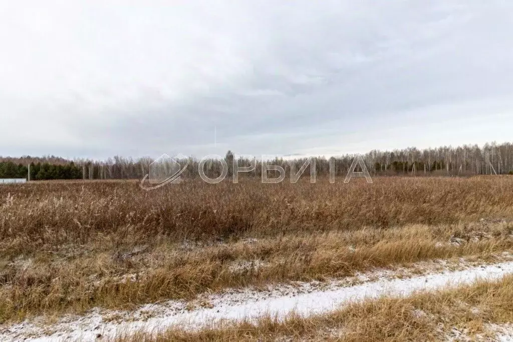 Участок в Тюменская область, Тюменский муниципальный округ, с. Кулига, ... - Фото 1