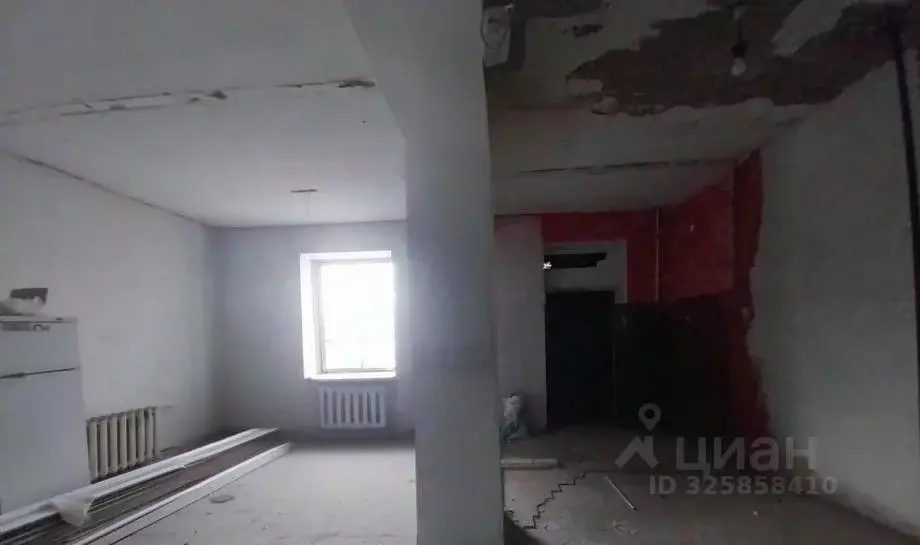 Помещение свободного назначения в Пермский край, Александровск Яйва ... - Фото 2