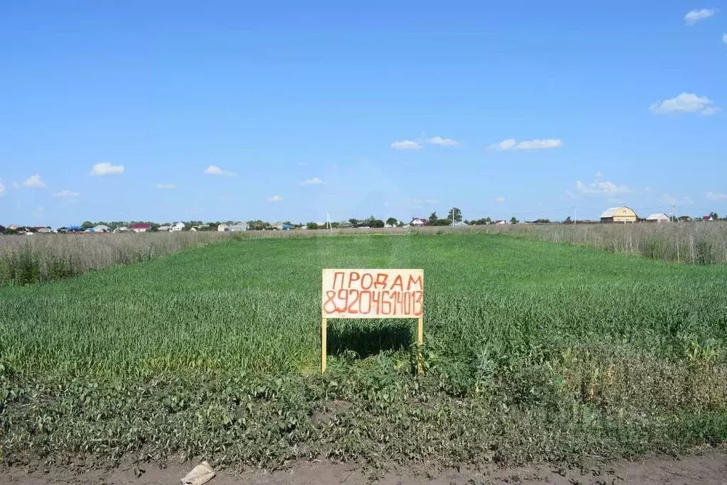Участок в Воронежская область, Каширский район, Боевское с/пос, с. ... - Фото 2