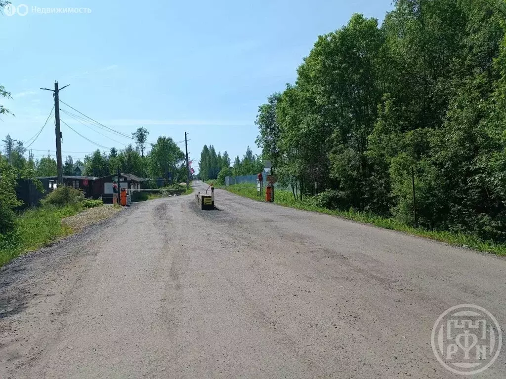 Участок в Форносовское городское поселение, СНТ Родничок, 1-я линия, ... - Фото 0