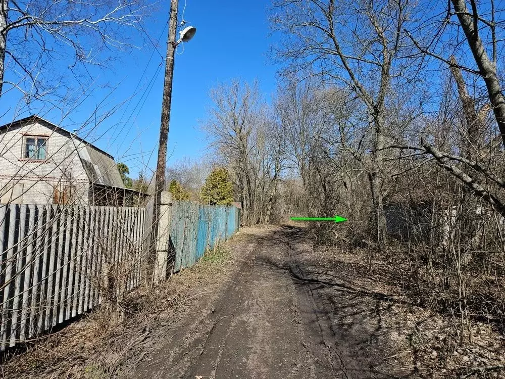 Участок в Воронежская область, Новоусманский район, Хреновское с/пос, ... - Фото 1
