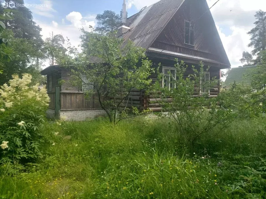 Дом в городской посёлок Вырица, улица Максимова (43 м) - Фото 1