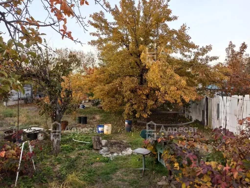 Дом в Волгоградская область, Волгоград Мичуринец СНТ, 11 (25 м) - Фото 0