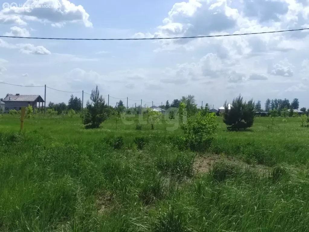 Участок в Тамбов, Дружная улица (7.5 м) - Фото 2