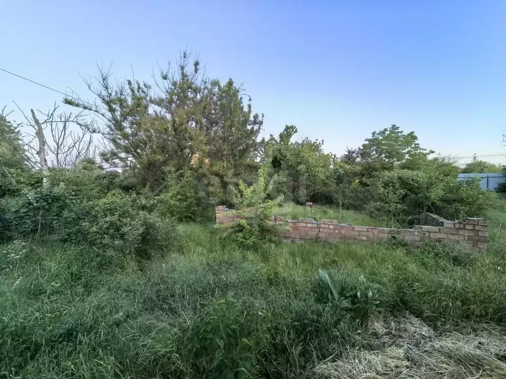 Участок в Краснодарский край, Ейск Южное СНТ,  (5.0 сот.) - Фото 2