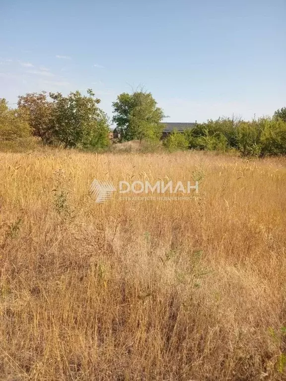 Участок в Ростовская область, Октябрьский район, Красюковское с/пос, ... - Фото 2