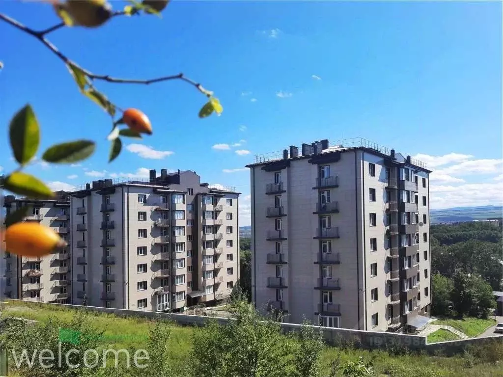 1-к кв. Ставропольский край, Ессентуки ул. Кленовая Роща, 10 (31.8 м) - Фото 1