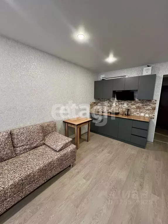 Студия Амурская область, Благовещенский район, с. Чигири Восточная ... - Фото 2