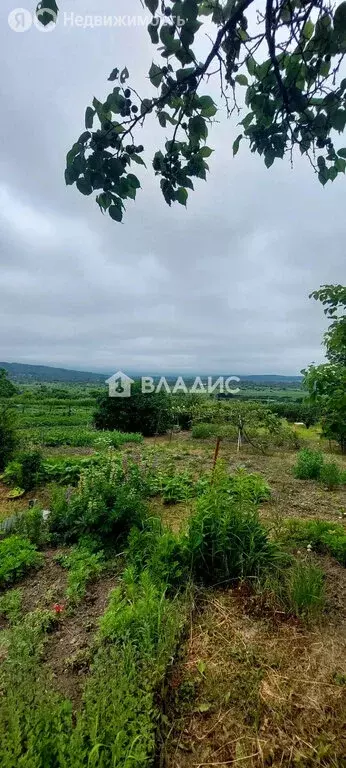Участок в Уссурийск, СДТ Учитель (9.12 м) - Фото 1