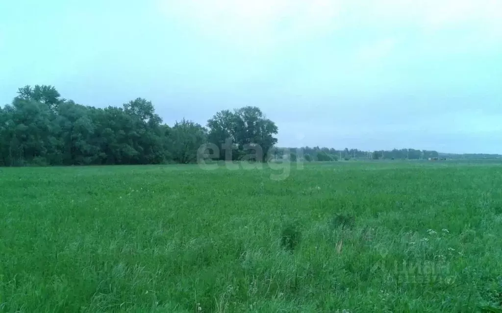 Участок в Московская область, Коломна городской округ, д. Андреевка 19 ... - Фото 0