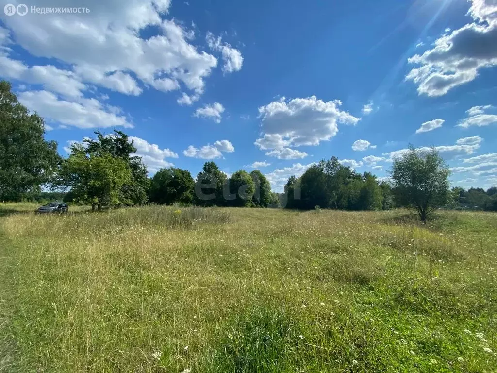 Участок в село Лопатино, Дачная улица (21 м) - Фото 2
