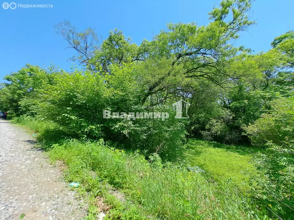 Участок в село Екатериновка, Космическая улица, 3Б (15 м) - Фото 0