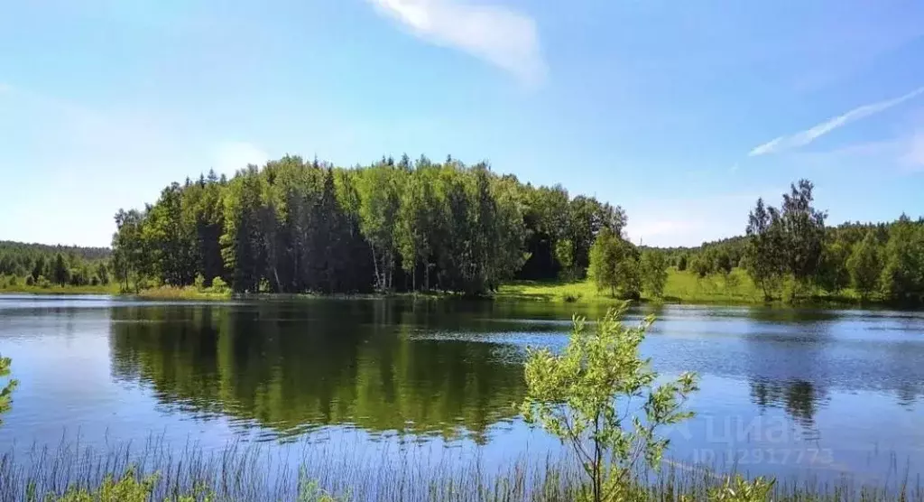 Участок в Калужская область, Калуга городской округ, д. Сивково  (13.4 ... - Фото 0