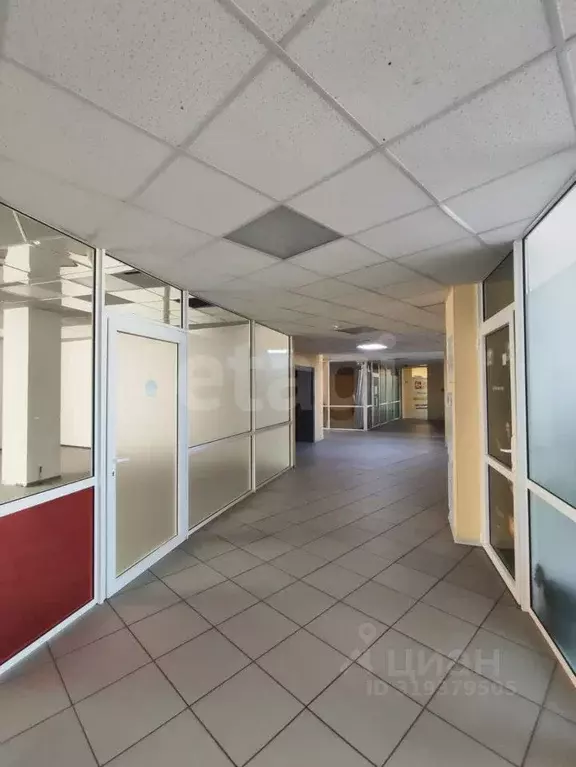 Помещение свободного назначения в Коми, Сыктывкар Первомайская ул., 62 ... - Фото 2