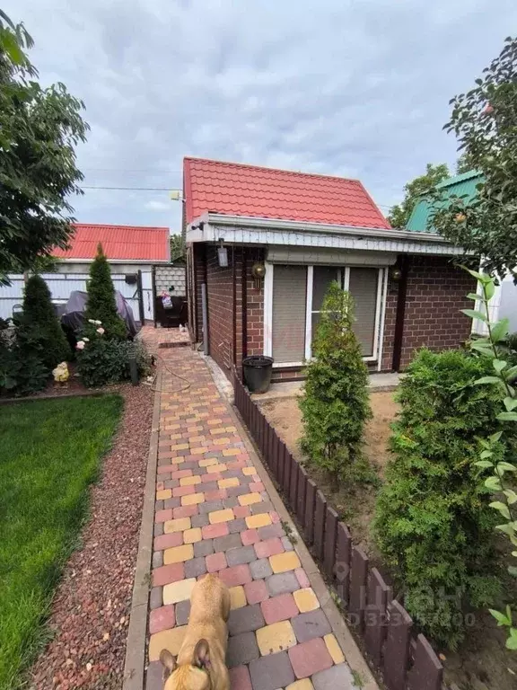 Дом в Ростовская область, Волгодонск Коммунальник СНТ, 347 (25 м) - Фото 1