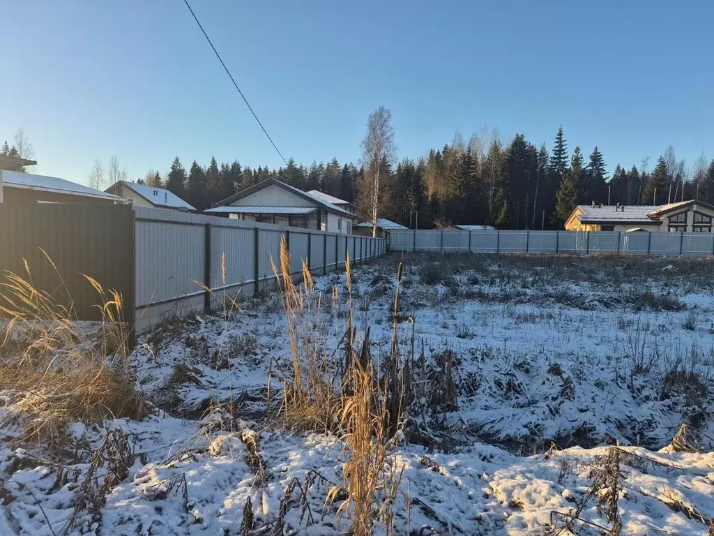 Участок в Московская область, Можайский муниципальный округ, Форест ... - Фото 1