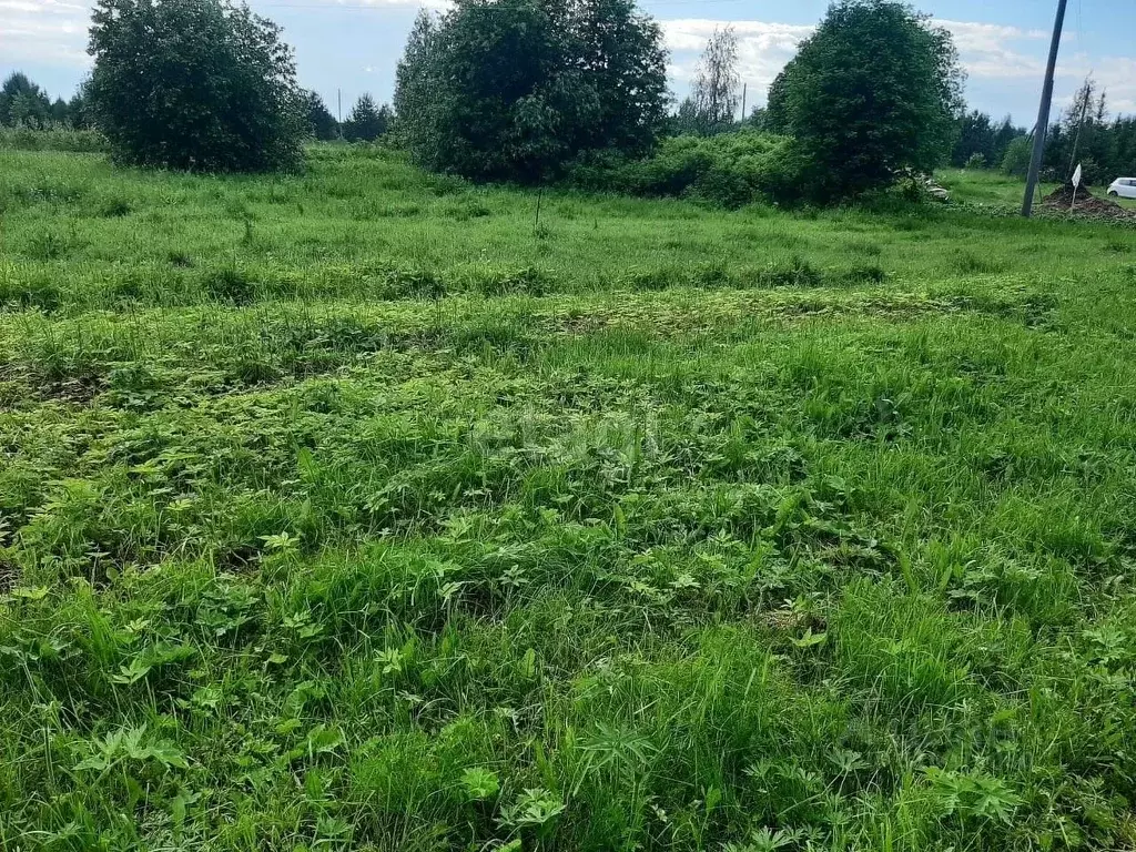Участок в Архангельская область, Котласский муниципальный округ, д. ... - Фото 0