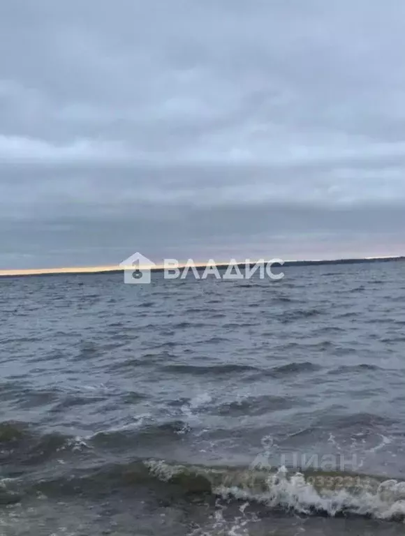 Участок в Нижегородская область, Городецкий муниципальный округ, д. ... - Фото 2