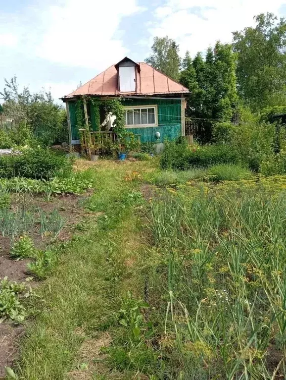 Дом в Томская область, Томск Рассвет при НПО Вирион СНТ,  (14 м) - Фото 2