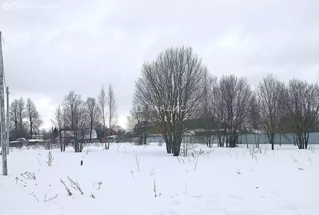 Участок в Калужская область, Жуковский муниципальный округ, деревня ... - Фото 1