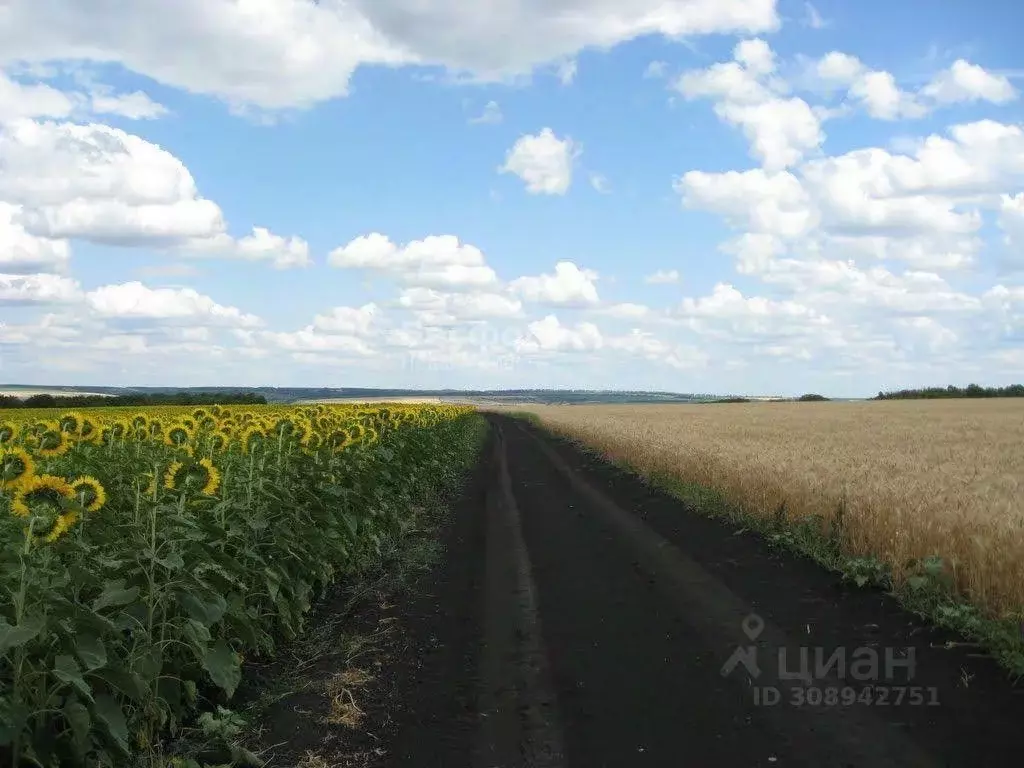 Участок в Крым, Кировский район, с. Владиславовка ул. Новая (4.83 ... - Фото 1