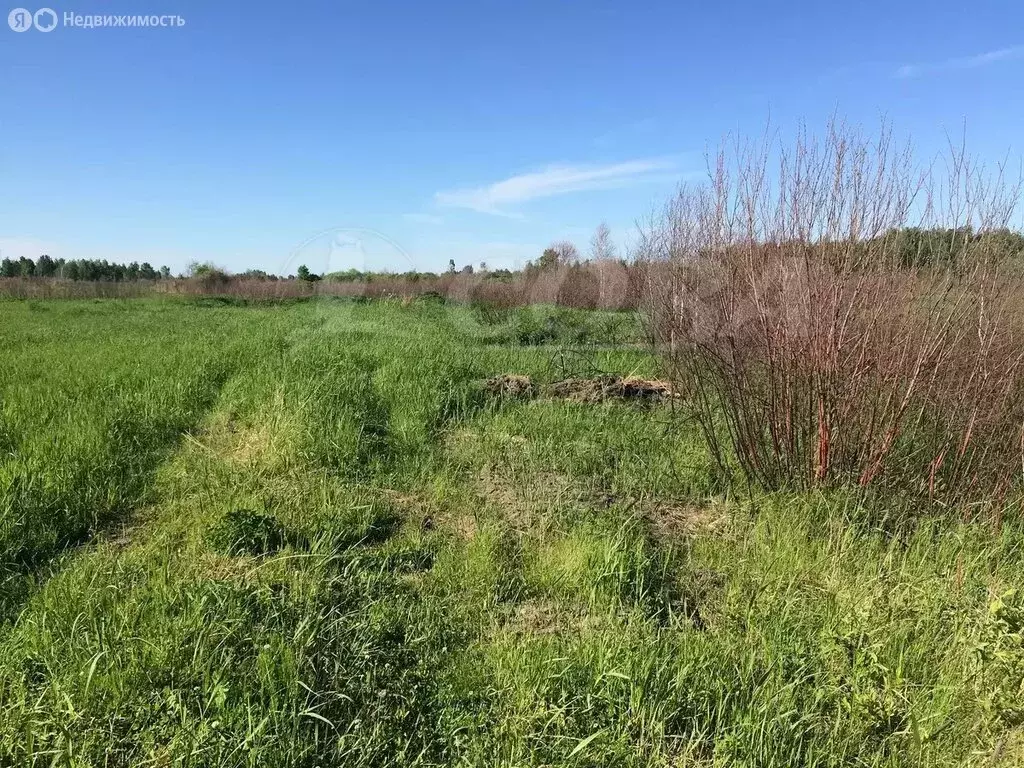 Участок в Нижнетавдинский район, село Тюнево (15 м) - Фото 1